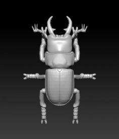 Stagbeetle scarab 3D Model
