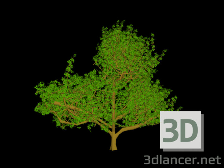 3D-Model 
tree