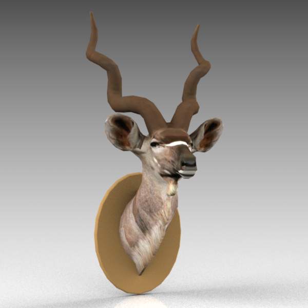 Kudu Head 3D Model