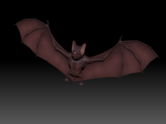 3D Bat 3D Model