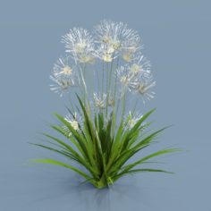 GenFlower 23 3D Model