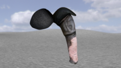 Horse dick realistic 3D Model
