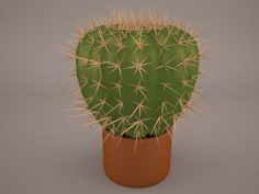 Cactus Lobivia famatimensis 3D Model