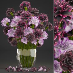 Bouquet of flowers Dianthus 3D Model