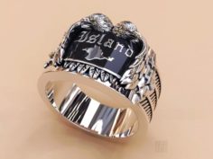 Ring with the eagles 3D Model