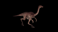 Gallimimus dinosaur 3D Model