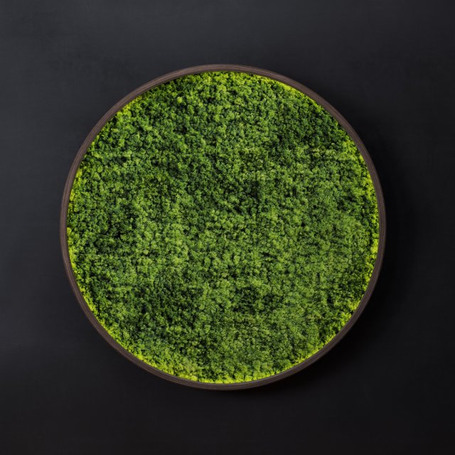 Mosswall disk 3D Model