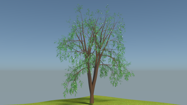 Little tree 3D Model