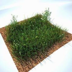 Grass Kit V2 for CInema 4D and Vray — Free Free 3D Model