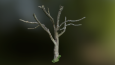 Tree low poly model 3D Model
