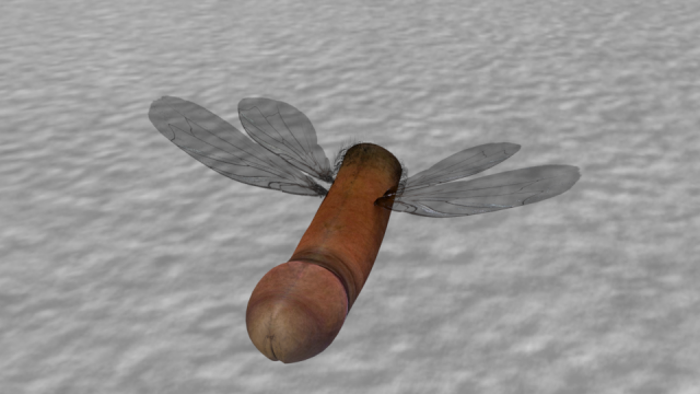 Penisfly 3D Model