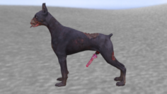Zomby dog male 3D Model