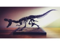T-rex 3D Model