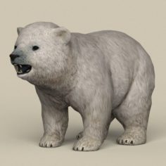 Game Ready Polar Bear Cub 3D Model