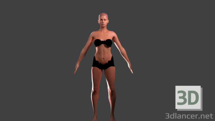 3D-Model 
Female model