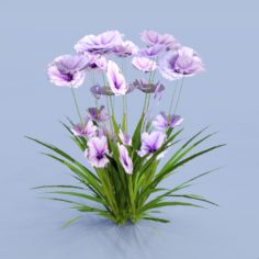 GenFlower 21 3D Model