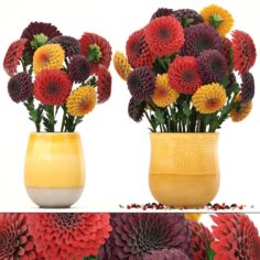 Bouquet of flowers Dahlias 3D Model