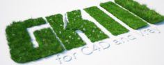 Grass Kit III for C4D and Vray 3 3D Model