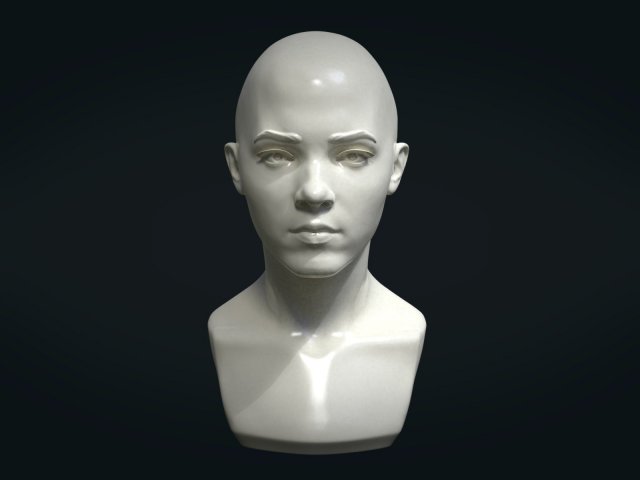 Young woman head 3D Model