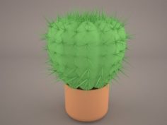 Cactus Lobivia famatimensis 3D Model
