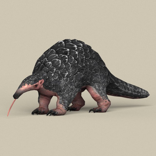 Game Ready Pangolin 3D Model