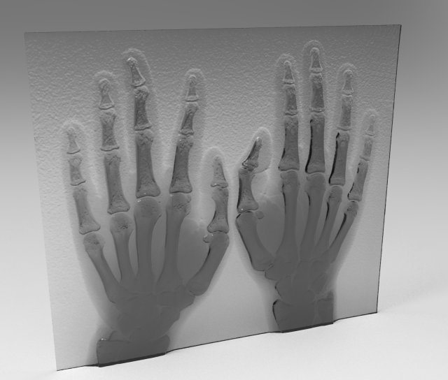 Xray hand model 3D Model