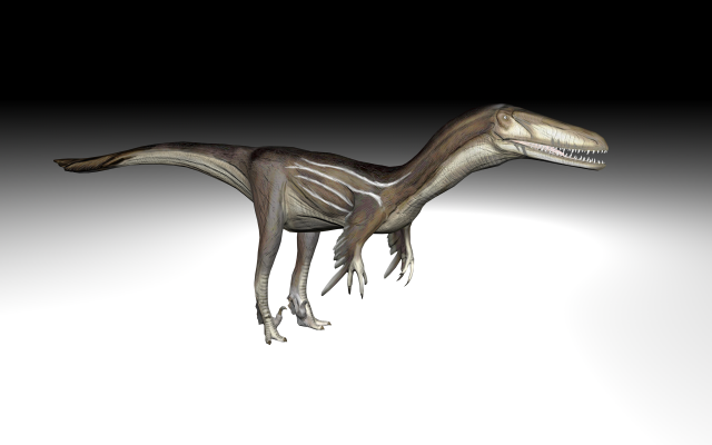 Austrosaurus dinosaur 3D Model
