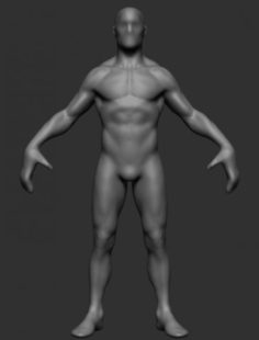 H Anatomy 3D Model