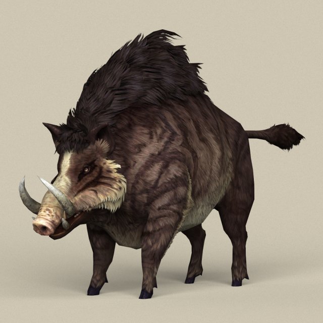 Game Ready Fantasy Boar 3D Model