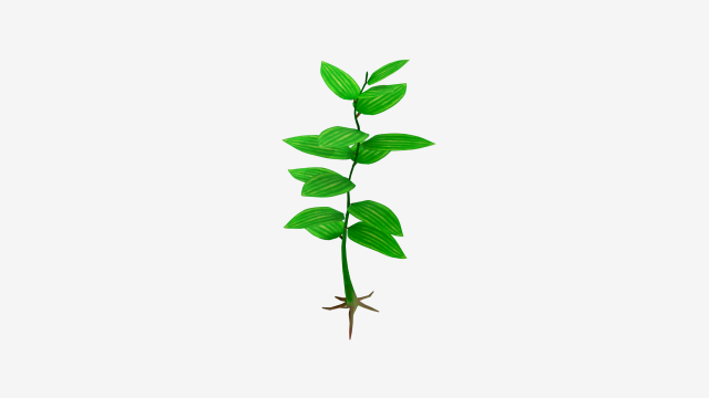 Small plant 3D Model