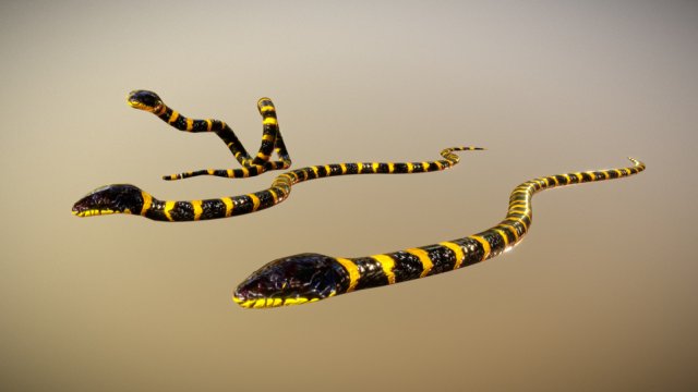 Snake Critter Animated Free on Sketchfab 3D Model