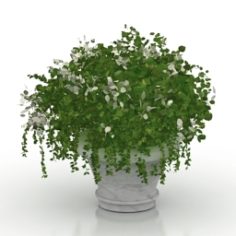 Vase 3D Model