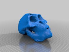 Australopithecus afarensis skull (with jaw) 3D Print Model