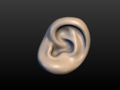 Round Ear 3D Model