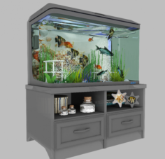 Aquarium 1 3D Model