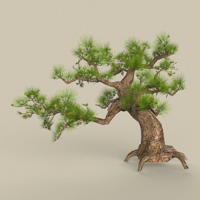 Low Poly Tree 02 3D Model