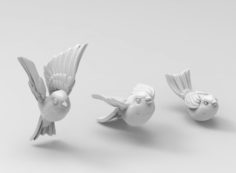 Birds 3D Model