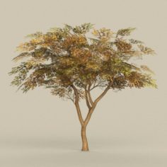Game Ready Tree 18 3D Model