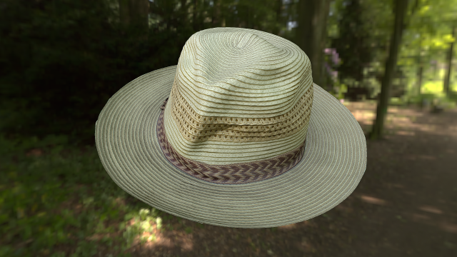 Hat low poly 3D Model