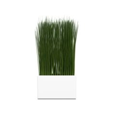 Grass in a Vase 3D Model