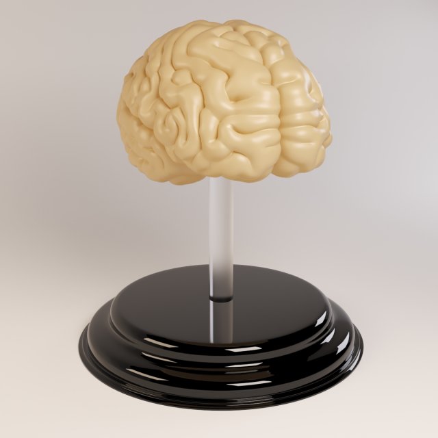 Decorate Brains 3D Model