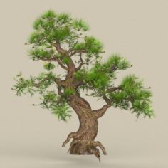 Low Poly Tree 04 3D Model