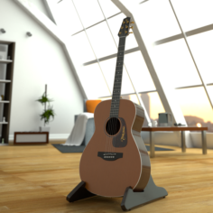 Takamine Acoustic Guitar 3D Model