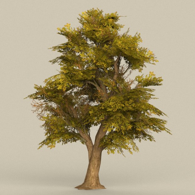 Game Ready Tree 17 3D Model