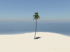 Coconut tree 3D Model
