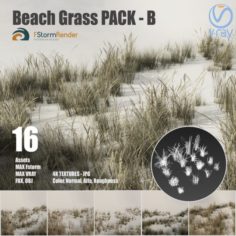 Beach grass pack B 3D Model