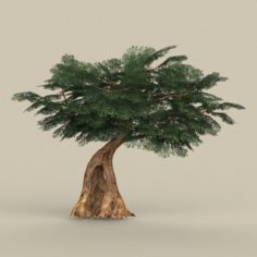 Game Ready Tree 04 3D Model