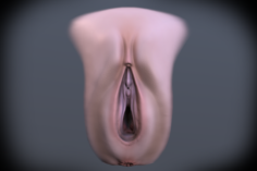 Female Vagina 3D Model