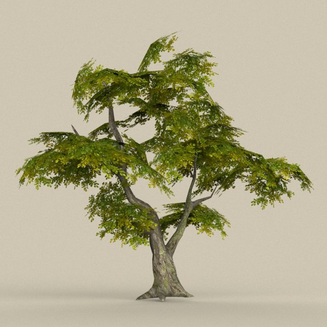 Game Ready Tree 30 3D Model