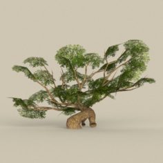 Low Poly Tree 09 3D Model